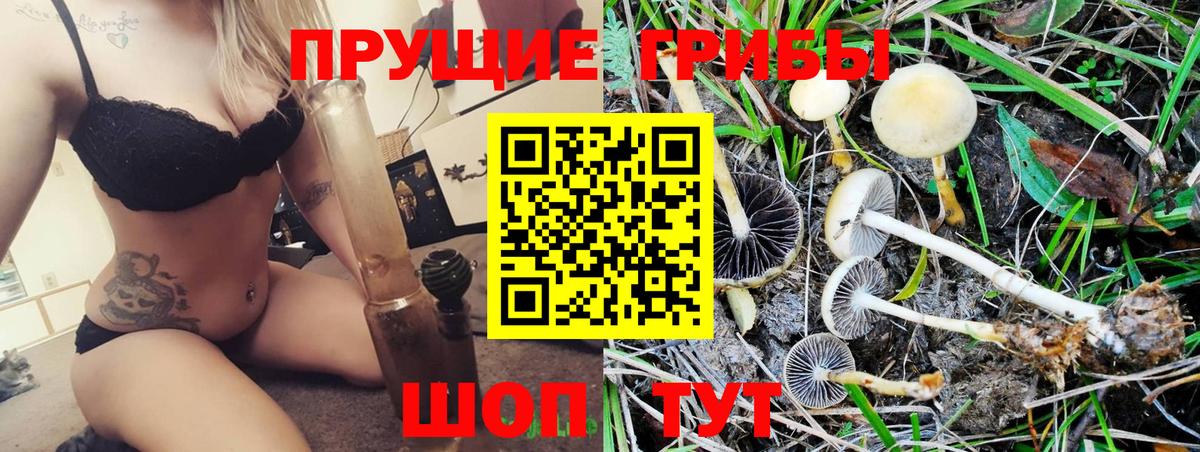 Псилоцибиновые грибы Psilocybine cubensis Хасавюрт