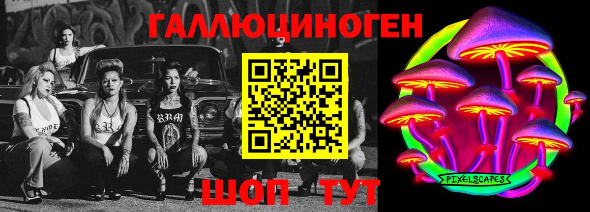 Хасавюрт  сколько стоит  Вход с VPN  Псилоцибиновые грибы Cubensis 
